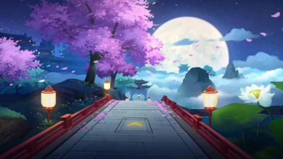 自己怎样做巴厘龙虾吃知识星球平台-专注知识分享,轻松学习成长